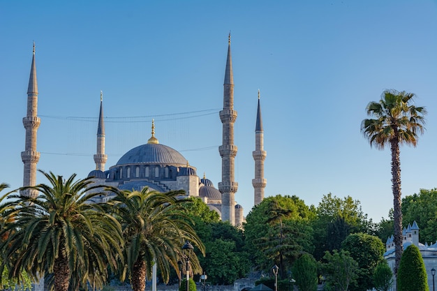 Błękitny Meczet Sultanahmet Camii Stambuł Turcja