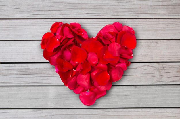 bliskie płatki czerwonej róży w kształcie serca
