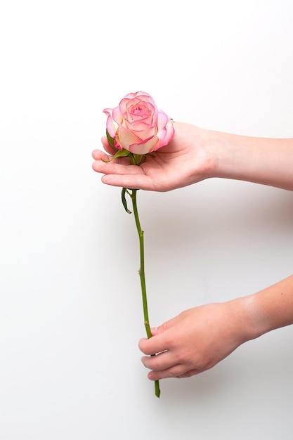 Zdjęcie blisko piękne wyrafinowane kobiece ręce z białymi kwiatami