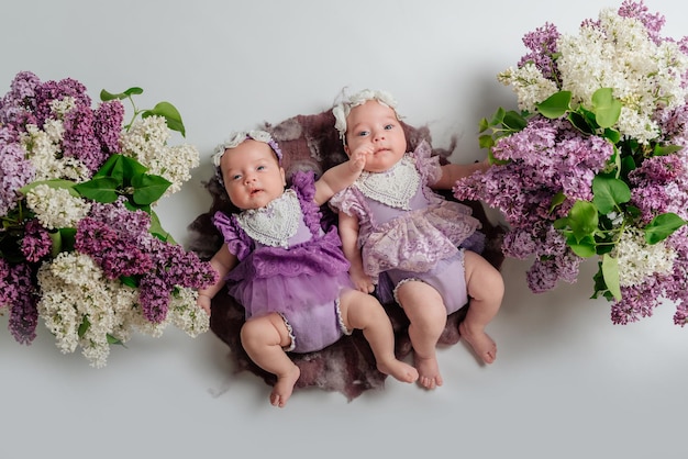 Zdjęcie bliźniaczki nowonarodzone dziewczyny bliźniaki sesja zdjęciowa noworodka z kwiatami bzu