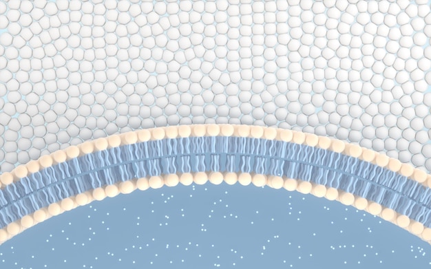 Zdjęcie błona komórkowa z niebieskim tłem renderowania 3d