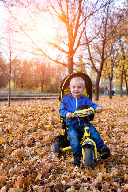 Blond Chłopiec Na żółtym Trójkołowym. Jesienny Park. żółte Liście, Słoneczny Dzień