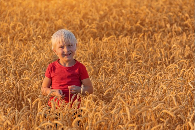 Blond chłopiec stojący w polu dojrzałej pszenicy i uśmiechnięty.