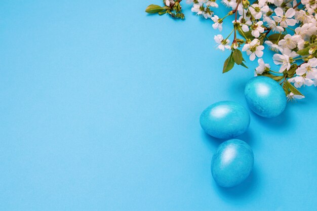 Blossom Cherry i Easter Blue Eggs na niebieskim tle.