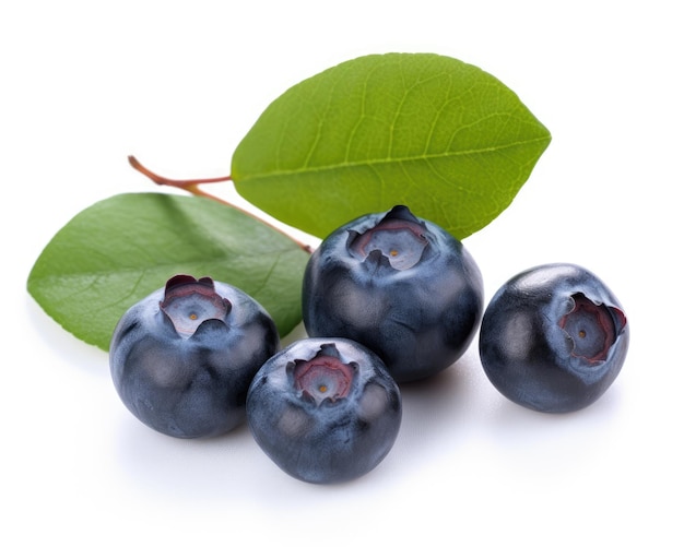 Blueberry isolated Jagoda z liśćmi na białym Borówka na białym tle Pełna głębia ostrości