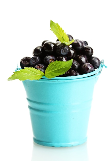 Blueberry W Wiadrze Z Miętą Na Białym Tle