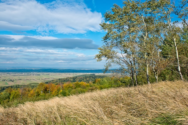 Zdjęcie bluesky z białymi chmurami i drzewami