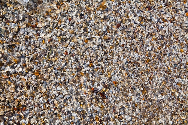Błyszczące kamienie z bliska na plaży jeziora Michigan