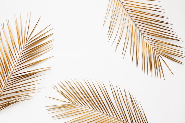 Błyszczące złote liście palm tropikalnych