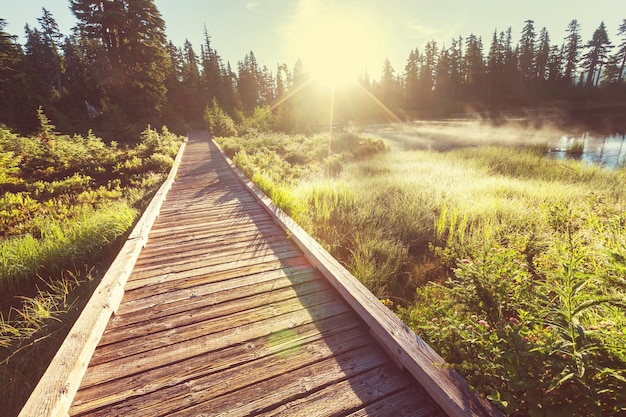 boardwalk