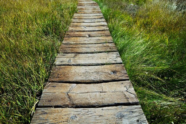 Zdjęcie boardwalk