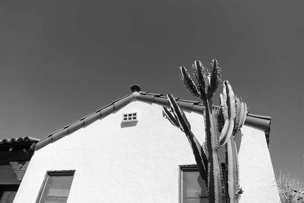 Boczna fasada domu z dachem i kaktusem na tle niebieskiego nieba house