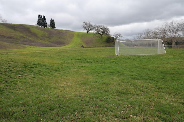 boisko piłkarskie z płotem, na którym jest piłka nożna