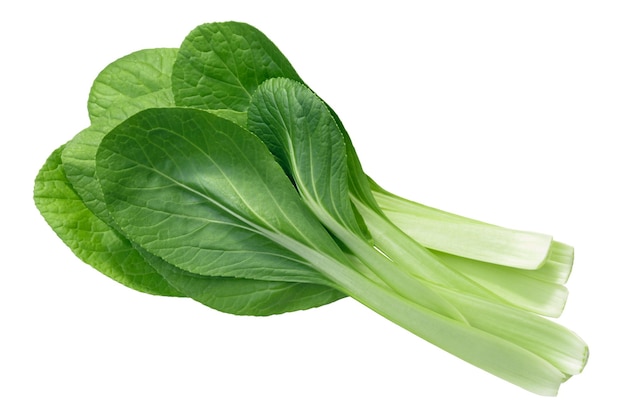 Zdjęcie bok choy chiński boćwina top