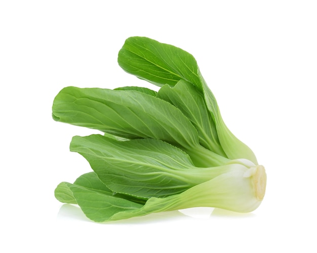 Bok choy kapusta pekińska na białym tle