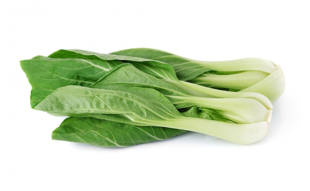 Bok choy warzywo odizolowywający na bielu.