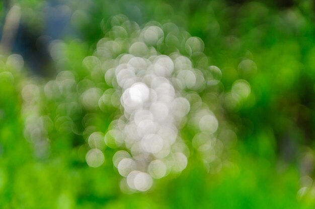 Bokeh Streszczenie Tekstura.