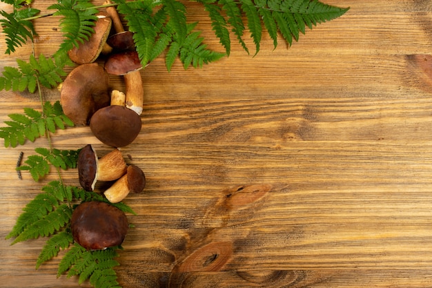 Zdjęcie boletus badius lub bay bolete mushroom collection widok z góry