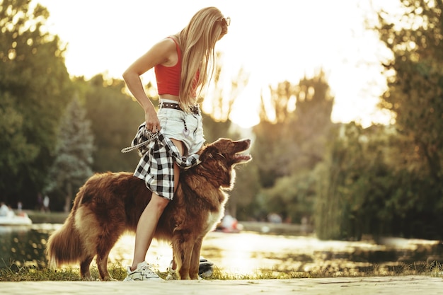 Border collie pies na spacerze w parku ze swoją właścicielką