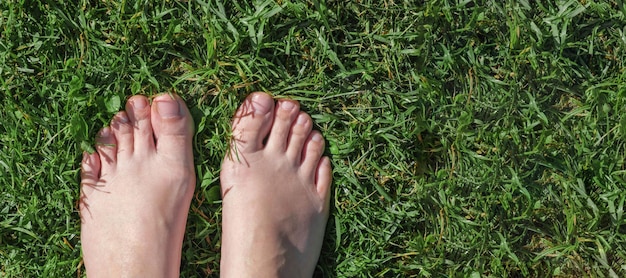 Bose stopy na zielonej trawie. Selfie. Kobiece stopy na zielonej trawie. Rustykalny styl życia. Widok z góry.