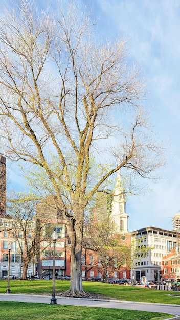 Boston, Stany Zjednoczone Ameryki - 29 kwietnia 2015: Ludzie w parku publicznym Boston Common w centrum Bostonu, MA, Stany Zjednoczone. Kościół przy Park Street w tle