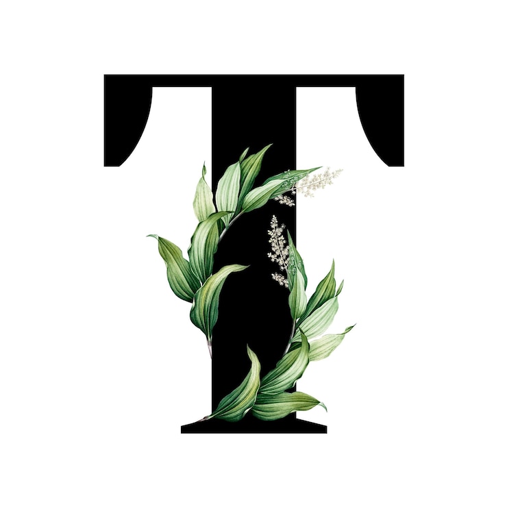 Zdjęcie botaniczna wielka litera t przezroczysta png