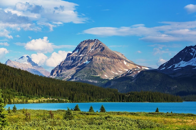 Bow Lake, Icefields Parkway, Park Narodowy Banff, Kanada