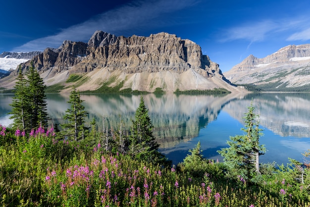 Bow lake, Park Narodowy Banff, Alberta, Kanada