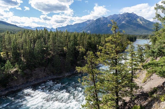 Bow River I Bow Falls W Letni Słoneczny Dzień Góra Norquay W Tle Park Narodowy Banff