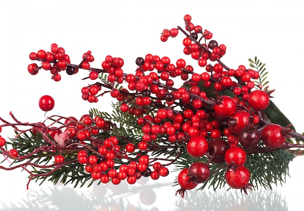 Boże Narodzenie gałąź z czerwonymi owoc
