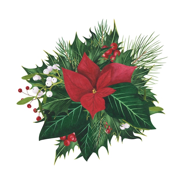 Boże Narodzenie holly jagody świerk Poinsettia Jemioła na białym tle Akwarela ręcznie rysowane ilustracja Xmas Sztuka do projektowania