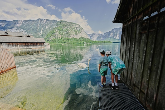 Bracia karmią łabędzia nad jeziorem w austriackich Alpach w Hallstatt Austria