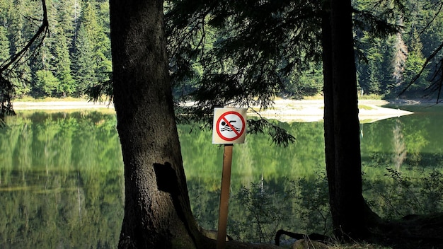 Brak znaku informacji o pływaniu na brzegu jeziora w lesie