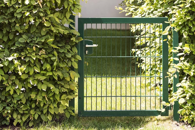 Zdjęcie brama do ogrodu, zielona żelazna brama z ogrodowymi krzewami i drzewami w tle