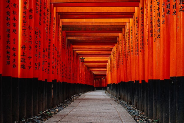 Bramy Torii W świątyni Fushimi Inari, Kioto, Japonia