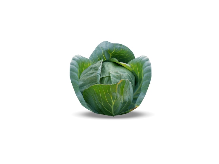 Zdjęcie brassica oleracea lub kapusta na białym tle