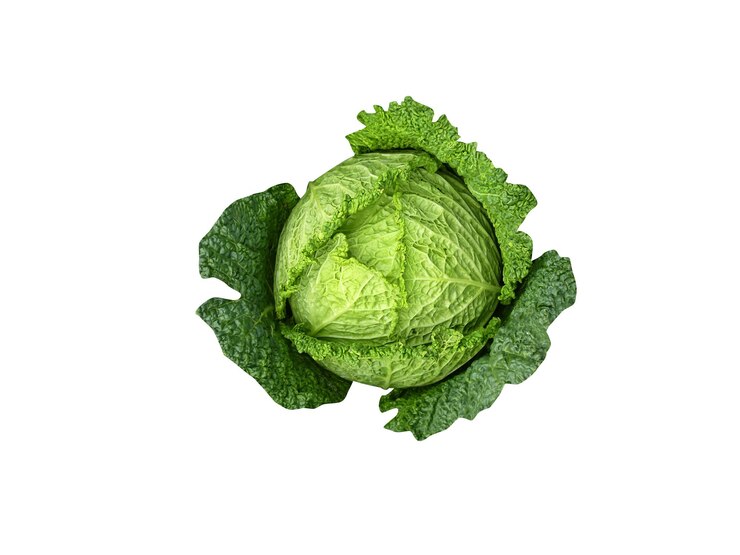 Zdjęcie brassica oleracea lub kapusta na białym tle