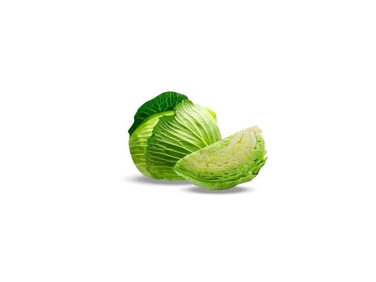 Zdjęcie brassica oleracea lub kapusta na białym tle