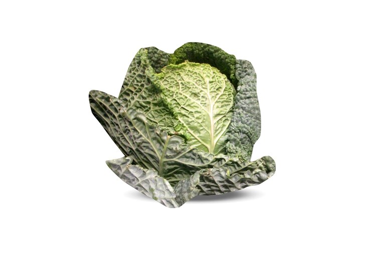 Zdjęcie brassica oleracea lub kapusta na białym tle