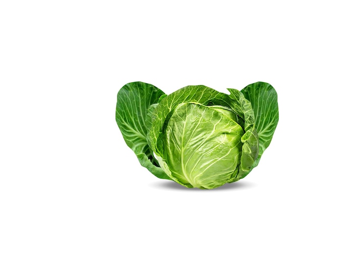 Zdjęcie brassica oleracea lub kapusta na białym tle