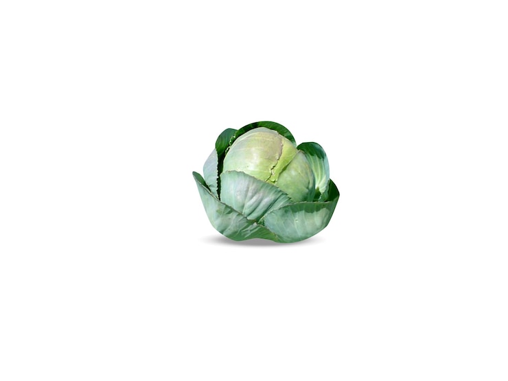 Zdjęcie brassica oleracea lub kapusta na białym tle