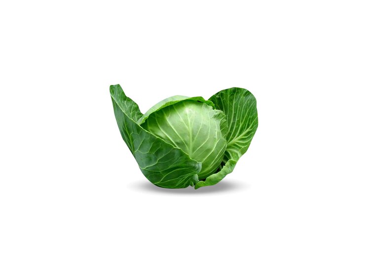 Zdjęcie brassica oleracea lub kapusta na białym tle
