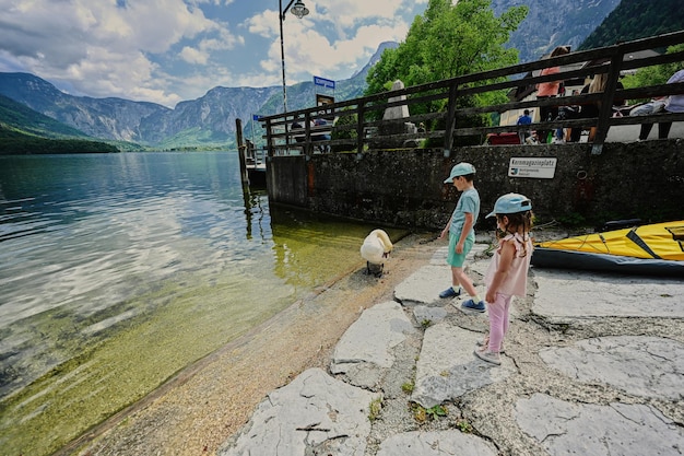 Brat z siostrą karmią łabędzia nad jeziorem w austriackich Alpach w Hallstatt Austria