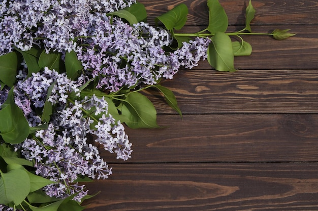 brązowe drewniane tło z ramą w kwiaty bzu