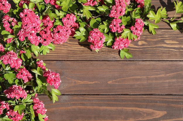 brązowe drewniane tło z różową ramą kwiatów