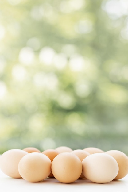 brązowe jaja kurze na zielonym tle przyrody