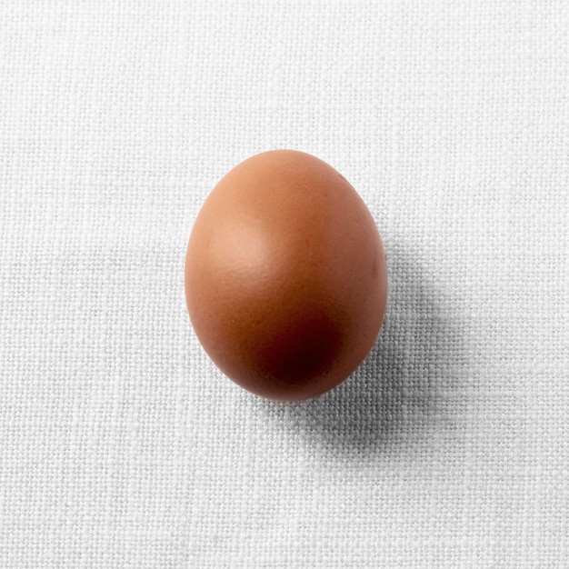 Brązowe jajko kurze z widokiem z góry