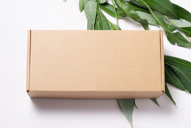 Brązowe pudełko kartonowe z ekologicznym opakowaniem świeżej gałęzi