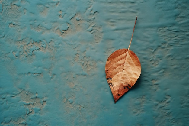 brązowy liść na niebieskiej ścianie
