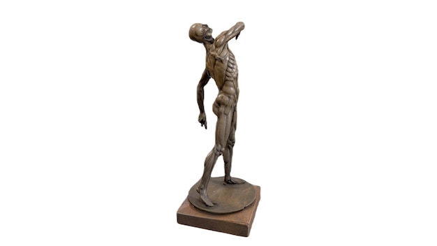 Zdjęcie brązowy posąg mężczyzny z muskularną sylwetką.